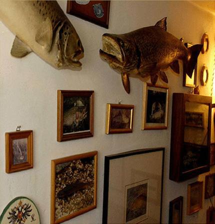 באד אישל Hotel Stadt Salzburg מראה חיצוני תמונה
